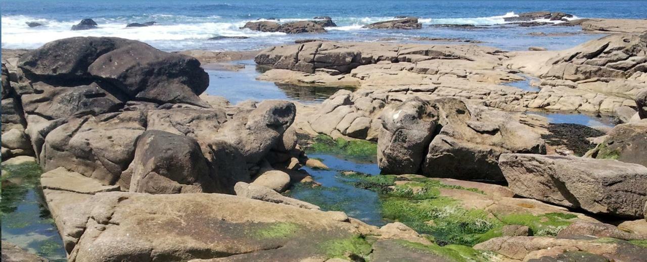 Varandas Da Sandia Vila Praia de Âncora Eksteriør billede