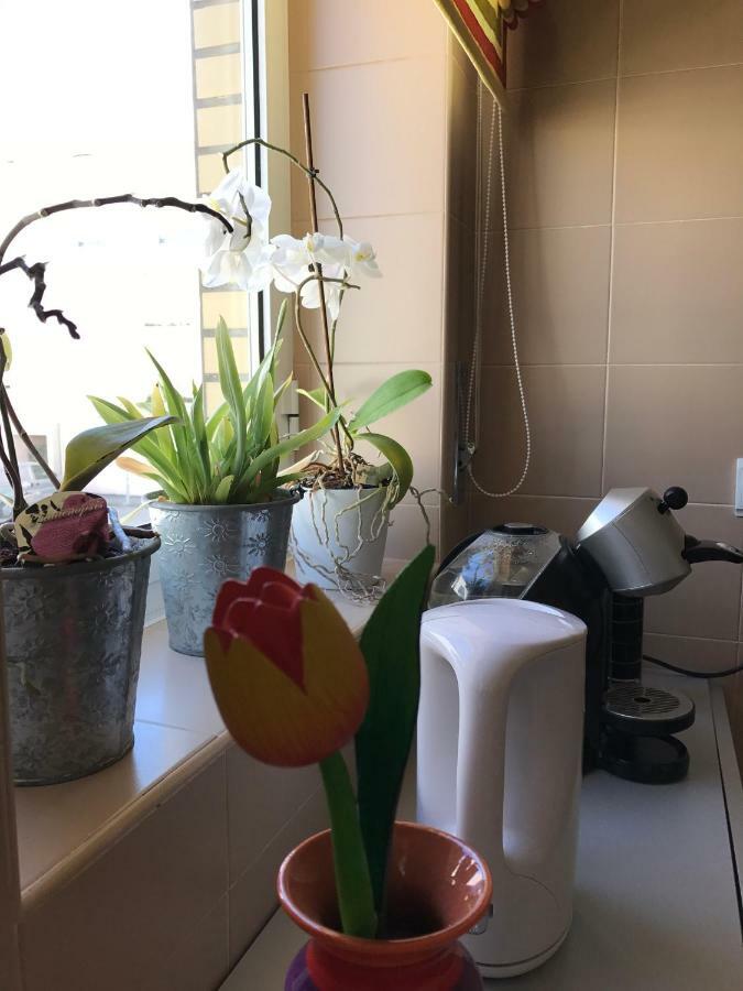Varandas Da Sandia Vila Praia de Âncora Eksteriør billede